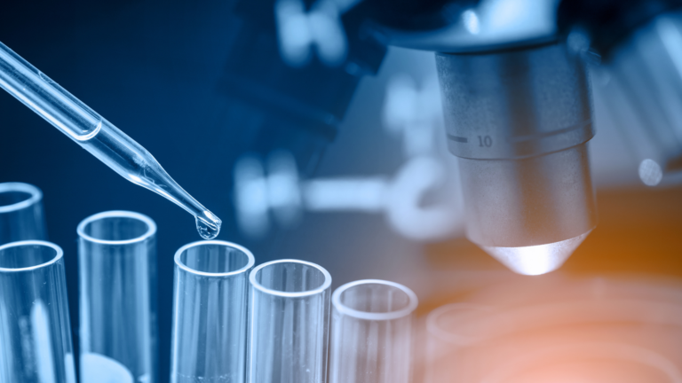 Peptide-Based Biomaterials (Hydrogels, Scaffolds)