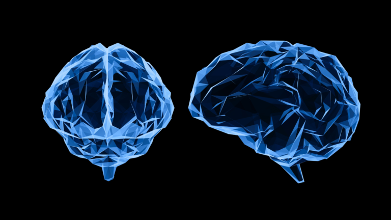 Neuropeptides and their role in mood regulation and mental health